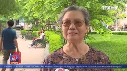 Không có việc trồng lại cây quanh hồ Hoàn Kiếm