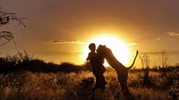 Nồng nàn... sư tử ôm