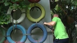 Hướng dẫn cách diệt bọ gậy, phòng dịch sốt xuất huyết