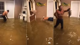 Bão Harvey tấn công, người đàn ông tung mình bắt cá trong phòng khách