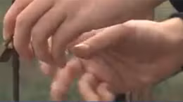 Khóa tình yêu trên cầu Long Biên