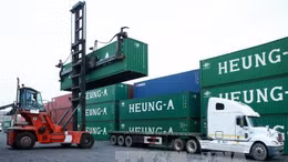 Vi phạm lĩnh vực hàng hải bị phạt tới 100 triệu đồng