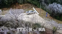 Xuất hiện băng giá tại đỉnh núi Phia Oắc (Cao Bằng)