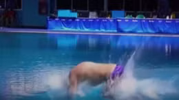 VĐV Nga nhận điểm 0 do màn nhảy cầu úp mặt xuống nước