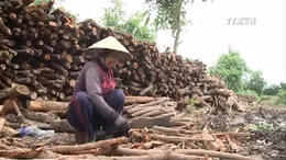 Xóm mót củi trong thành phố