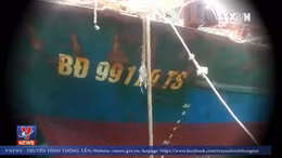 Làm rõ trách nhiệm đóng tàu vỏ thép kém chất chất lượng cho ngư dân