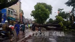 Video tổng hợp về cơn bão số 1