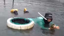 'Bay trên mặt nước' để hái rong nho ở Ninh Hòa