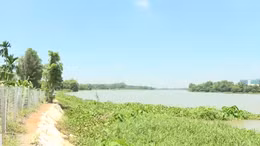 Lo an toàn đê bao sông Sài Gòn mùa triều cường