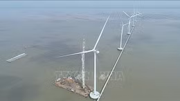 Thí điểm giao EVN làm điện gió ngoài khơi