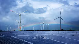 Dự thảo cách xác định giá điện gió, mặt trời