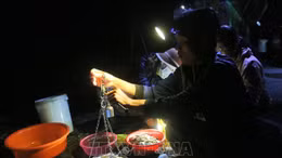 Về An Giang thăm 'chợ cá âm phủ' mùa nước nổi