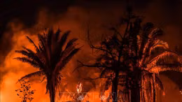 Cháy rừng hoành hành ở vùng đất ngập nước nhất thế giới