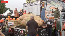 Quả bí ngô khổng lồ chiến thắng cuộc thi Vô địch Bí ngô Thế giới