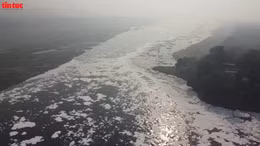 Bọt độc hại trắng xóa bao phủ dòng sông linh thiêng ở Ấn Độ