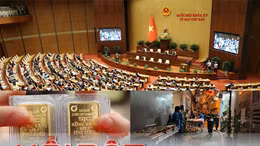 Tin tức TV: Cháy nhà trên phố Trung Kính; các trường đại học công bố điểm chuẩn xét tuyển sớm