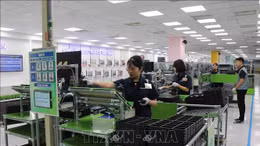 Kỳ vọng sự lan tỏa công nghệ từ doanh nghiệp ngoại sang doanh nghiệp nội phát triển mạnh trong năm 2024