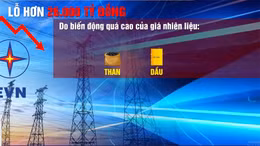 Ý kiến về việc tính khoản lỗ của EVN vào giá điện