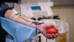 Phong trào hiến máu cho nạn nhân động đất tại Maroc