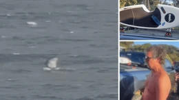 Khoảnh khắc kinh hoàng: Người đàn ông bị cá mập hất văng khỏi ván lướt ở Tây Australia