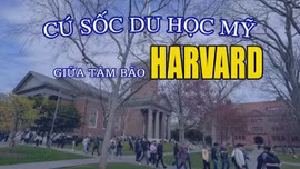 Tin tức TV: Cú sốc du học Mỹ giữa tâm bão Harvard