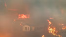 Hàn Quốc ban bố tình trạng khẩn cấp vì cháy rừng nghiêm trọng