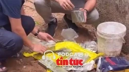 Tin nóng trong nước sáng 10/5