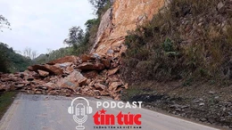 Tin nóng trong nước sáng 15/12/2025