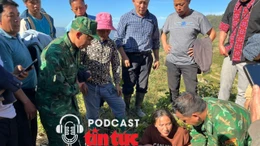 Tin nóng trong nước sáng 2/12/2025