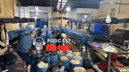 Tin nóng trong nước nghe nhanh sáng 24/1