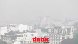 Tin nóng trong nước sáng 1/4/2026