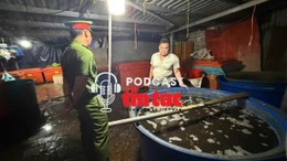 Tin nóng trong nước sáng 28/1/2026