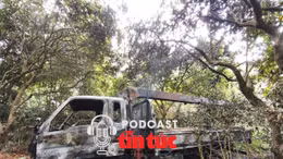 Tin nóng trong nước sáng 5/3/2026