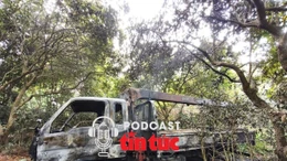 Tin nóng trong nước sáng 5/3/2026