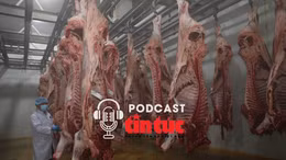 Tin nóng trong nước sáng 3/4/2026