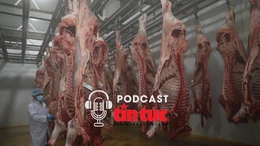 Tin nóng trong nước sáng 3/4/2026