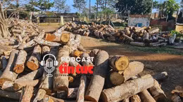 Tin nóng trong nước nghe nhanh sáng 7/2