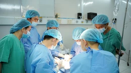 Tin nóng trong nước sáng 10/11/2025