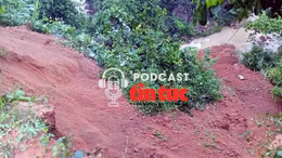 Tin nóng trong nước sáng 28/7/2025