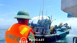 Tin nóng trong nước sáng 15/10/2025