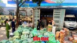 Tin nóng trong nước sáng 29/1/2026