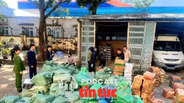 Tin nóng trong nước sáng 29/1/2026