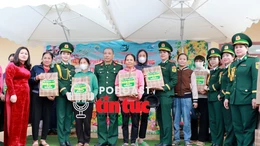 Tin nóng trong nước sáng 31/1/2026