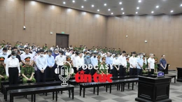 Tin nóng trong nước sáng 12/7/2025