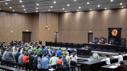 Tin nóng trong nước sáng 13/11/2025