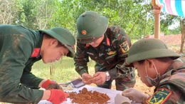 Tin nóng trong nước sáng 3/11/2025