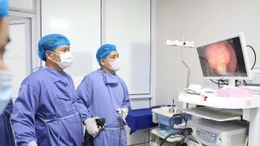 Tin nóng trong nước sáng 11/11/2025