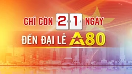 Đếm ngược A80 ngày 12/8/2025