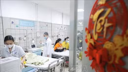 Đảm bảo công tác cấp cứu dịp Tết Ất Tỵ