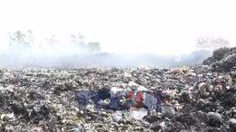 Rác thải bủa vây vì lò đốt tê liệt ở Diên Hà, Hưng Yên